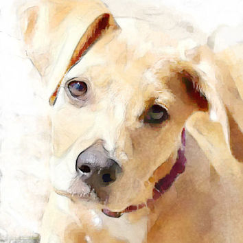 354x354 Best Watercolor Dog Paintings Products On Wanelo - Dog Watercolor Painting