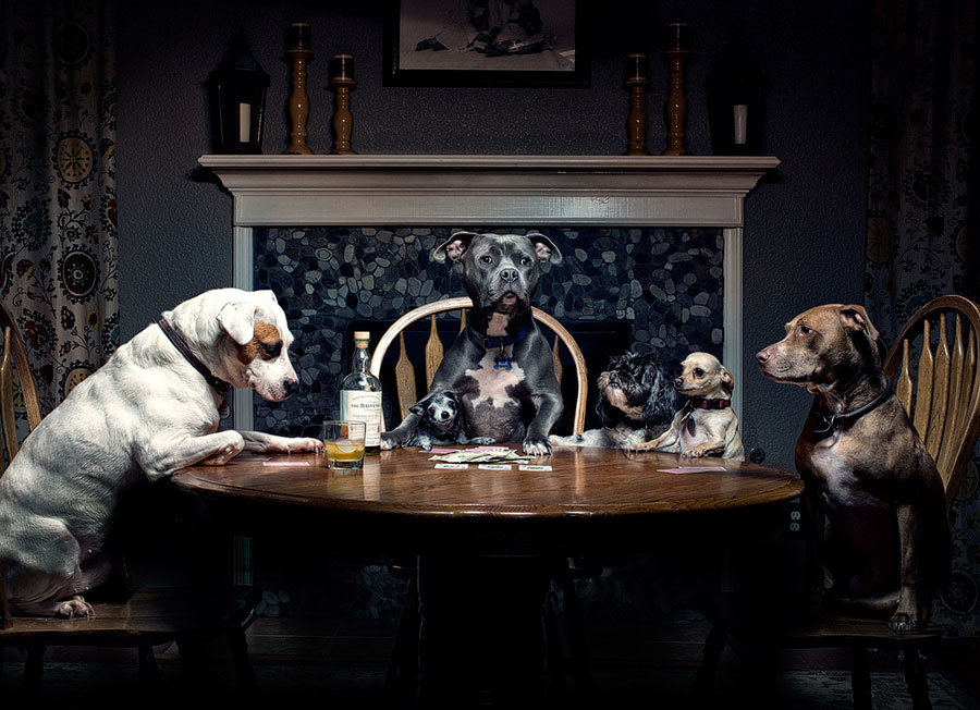 900x652 Dogs Playing Poker - Dogs Play Poker Painting