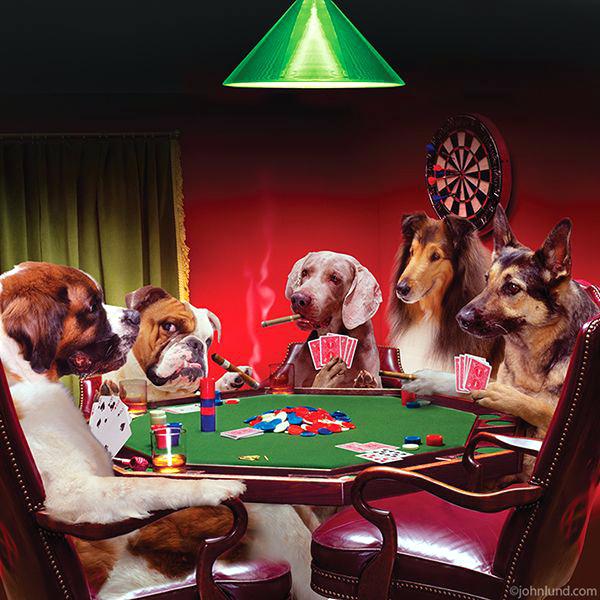 Dogs Playing Cards Painting at PaintingValley.com | Explore collection ...