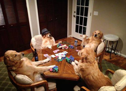 500x364 Dogs Playing Poker - Dogs Playing Poker Original Painting