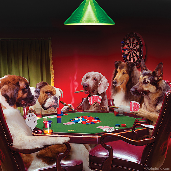 600x600 Pictures Of A Group Of Dogs Playing Poker Including A St. Bernard - Dogs Playing Poker Painting