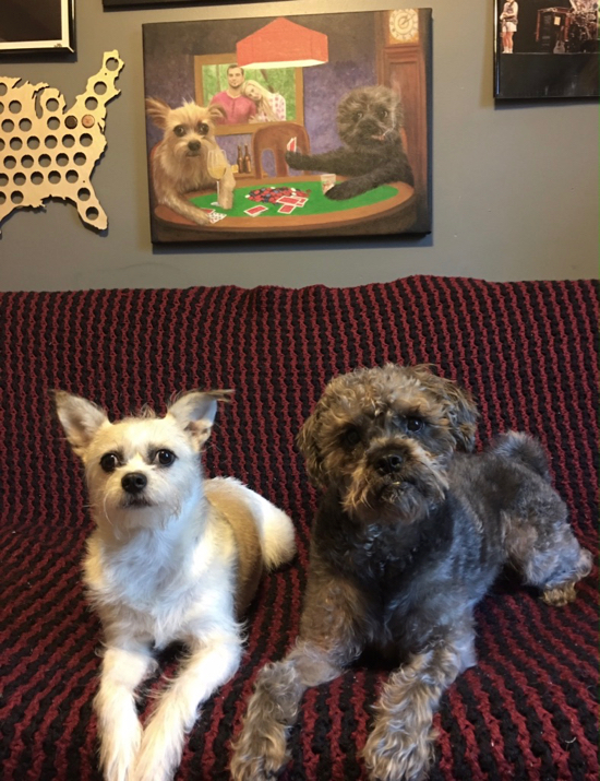 550x715 Dog Paintings Amp Custom Dog Portraits Dog Art By Splendid Beast - Dogs Playing Poker Painting