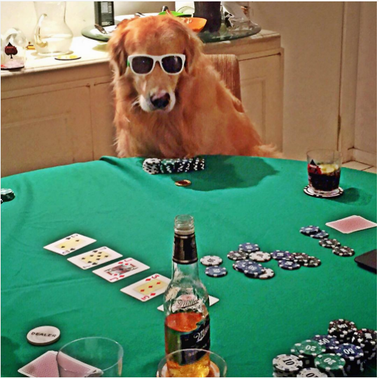 542x541 You'Ll Never Guess How Much These Famous Poker Dog Paintings Have - Dogs Playing Poker Painting Original