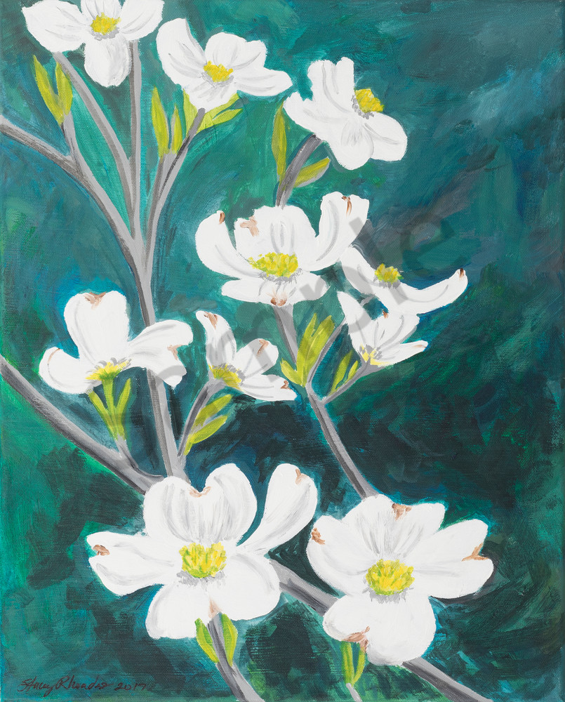 805x1000 Dogwood Tree Blossom Arkansas Painting - Dogwood Flower Painting