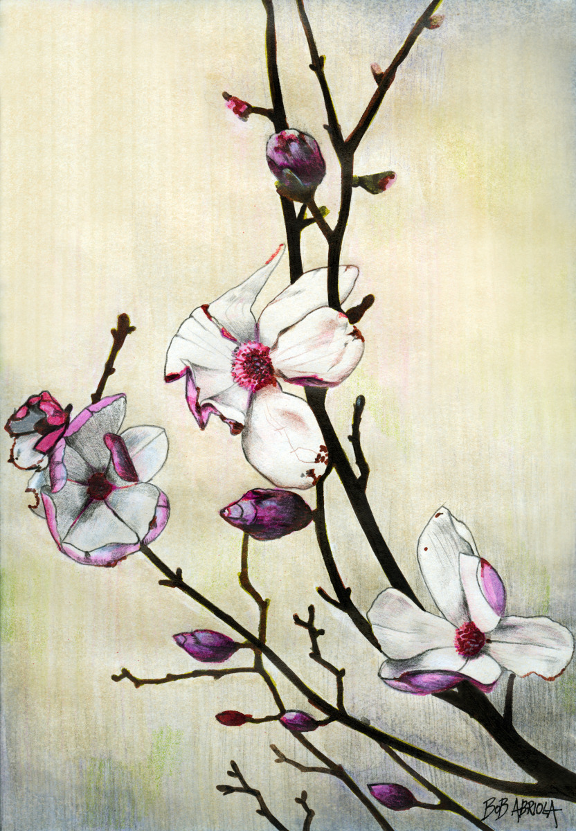 832x1200 Painting Dogwood Flowers (Original Art By Robert Abriola) - Dogwood Flower Painting