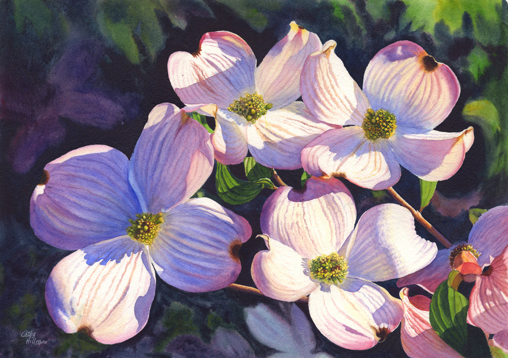 1000x704 Pink Dogwoods Watercolor Painting Print By Cathy Hillegas - Dogwood Flower Painting
