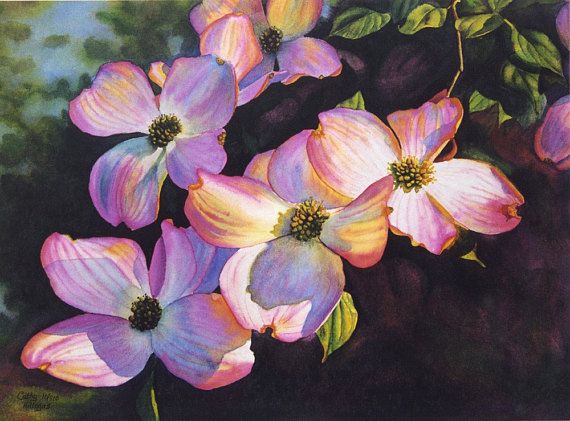 570x421 Pink Dogwoods Art Watercolor Painting Print By Cathy Hillegas - Dogwood Flower Painting