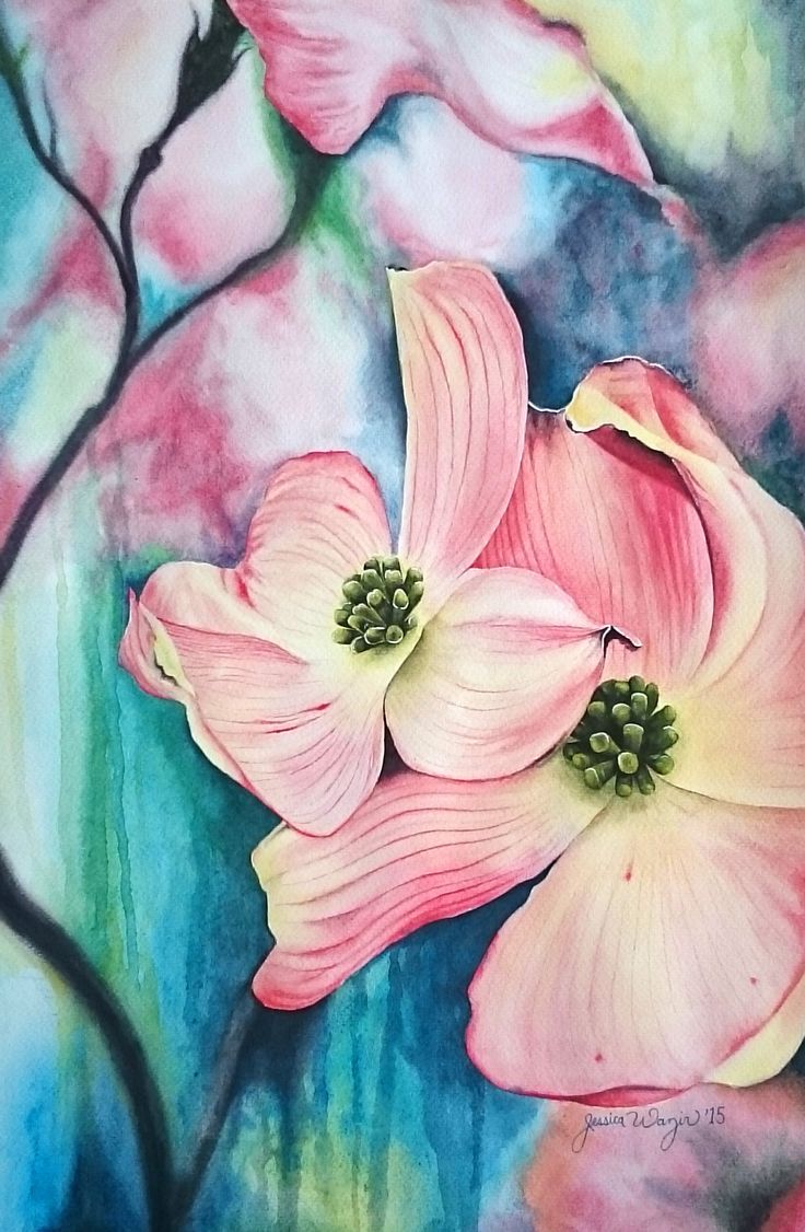 736x1126 Dogwood Tree Branch - Dogwood Flower Painting