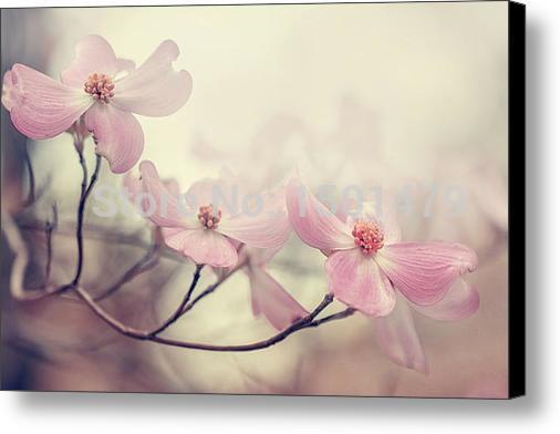 506x392 Dogwood Flower Canvas Print Art Painting Modern Painting Painting - Dogwood Flower Painting