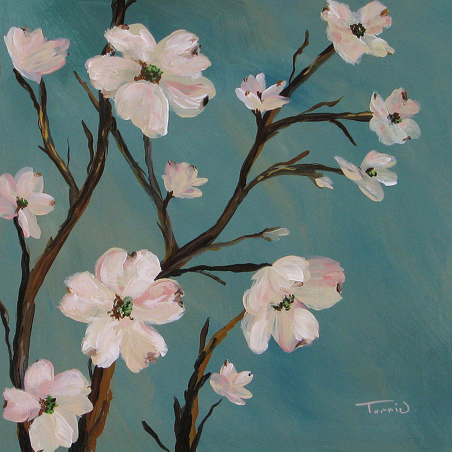 900x900 Dogwood Painting By Torrie Smiley - Dogwood Flower Painting