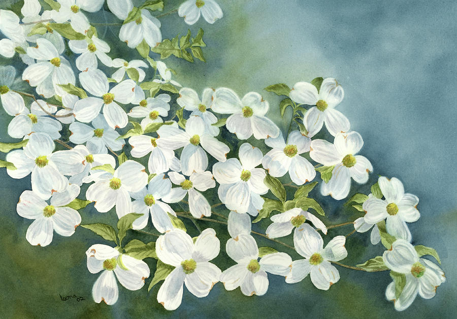 900x630 Dogwood In Bloom Painting By Leona Jones - Dogwood Painting