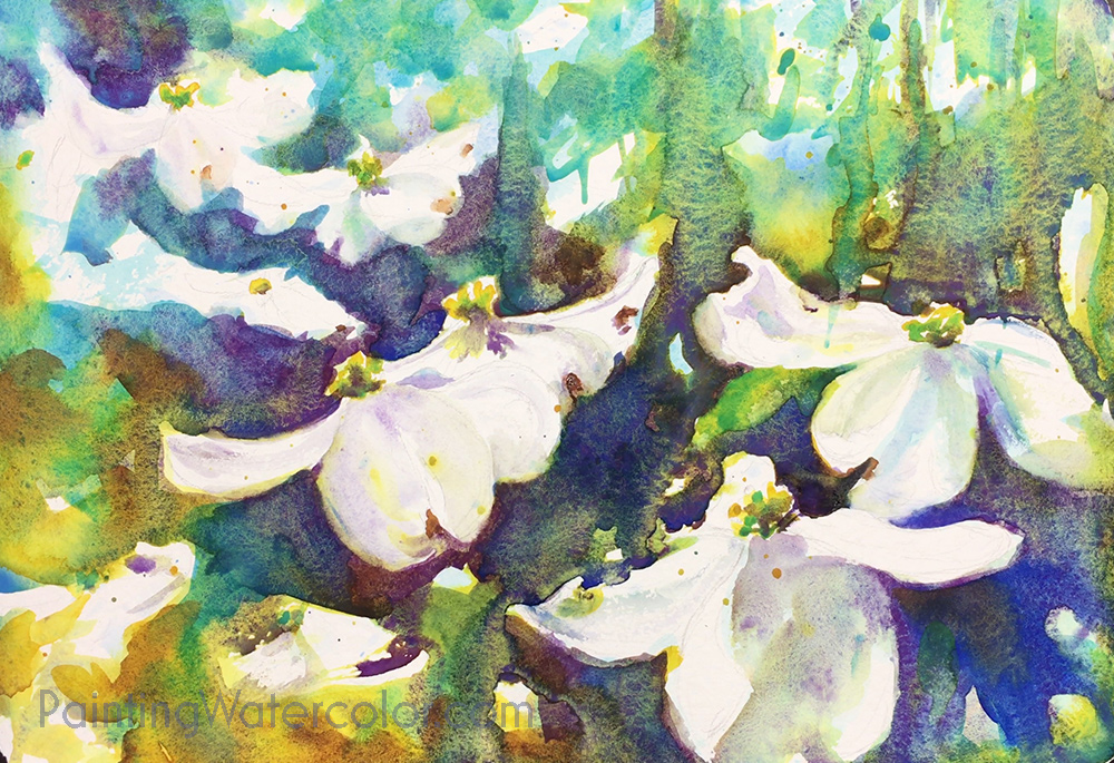 1000x685 Dogwoods Watercolor Painting Tutorial - Dogwood Painting