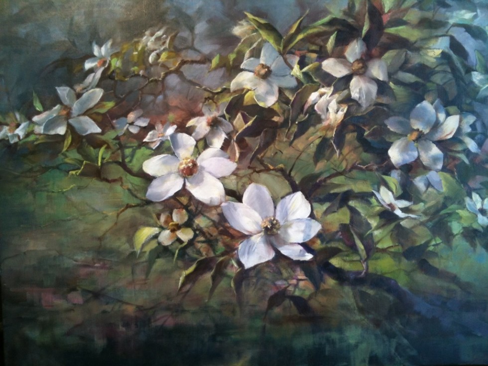 980x735 Mount Shasta Dogwood Blossoms, By Stefan Baumann - Dogwood Painting