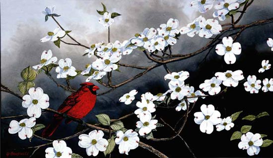 550x318 Original Art By George Boutwell - Dogwood Painting