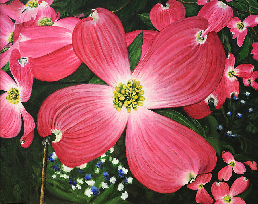 900x711 Pink Dogwood Painting By Gail Darnell - Dogwood Painting