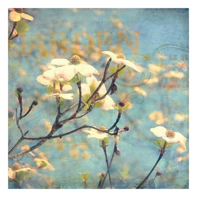 400x400 Beautiful Dogwood Artwork For Sale, Posters And Prints - Dogwood Painting