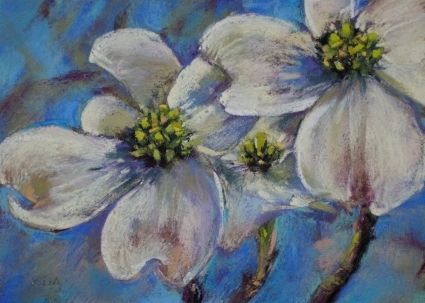 425x303 Dogwood Blossoms Original Art Painting By Karen Margulis - Dogwood Painting
