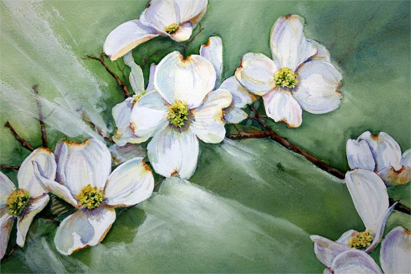 800x533 Dogwood Branch - Dogwood Painting