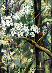 215x300 Dogwood Tree Paintings - Dogwood Tree Painting