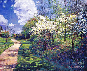 300x244 Dogwood Trees In Bloom Painting By David Lloyd Glover - Dogwood Tree Painting