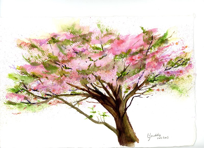 800x581 Dogwood Tree En Plein Air Linda Young Watercolors And Fine Art Blog - Dogwood Tree Painting