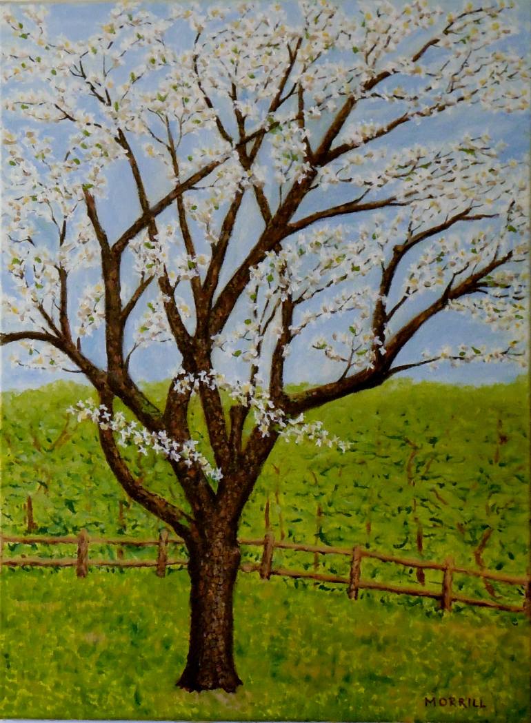 770x1049 Saatchi Art Dogwood Tree Painting By Gregory Morrill - Dogwood Tree Painting