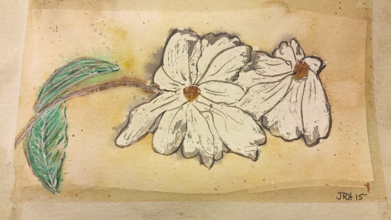 1280x720 Watercolor Painting White Dogwood Tree Flowers - Dogwood Tree Painting