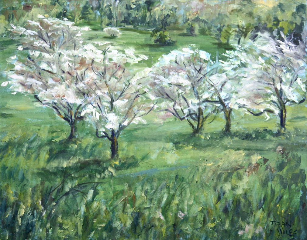 1010x792 Dogwood Trees By Wulff Arts - Dogwood Tree Painting