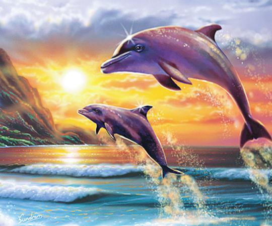 Dolphin Painting