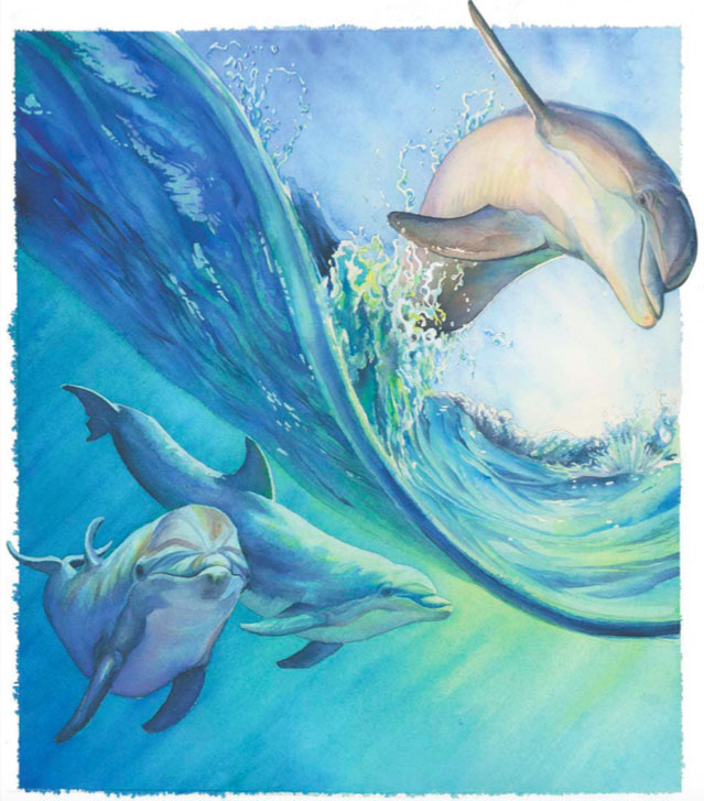 639x727 Painting Dolphins In Watercolor Quarto Knows Blog - Dolphin Painting