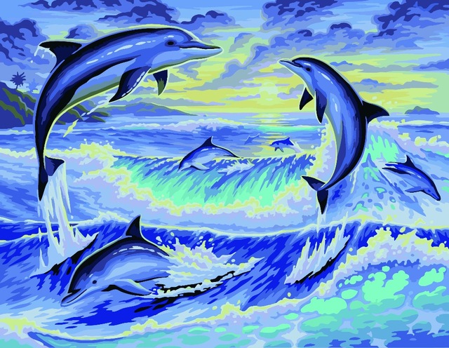 640x496 Diamond Embroidery Dolphin,diamond Paintings Square,full Square - Dolphin Painting