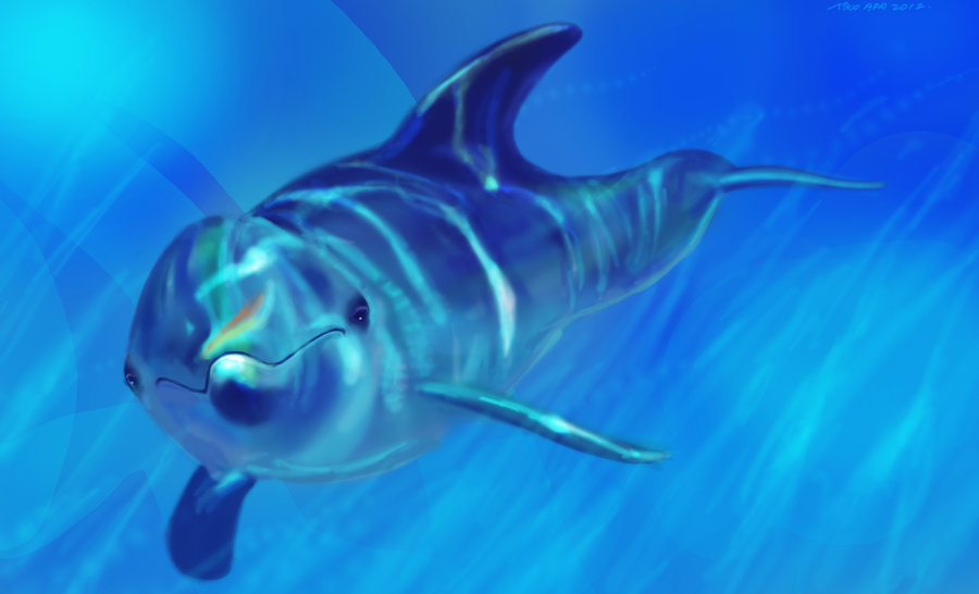 900x546 Dolphin Painting By Nosoart - Dolphin Painting