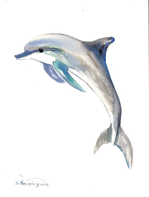 570x751 Dolphin Painting, Original Watercolor Painting, 12 X 9 In, Sea - Dolphin Painting