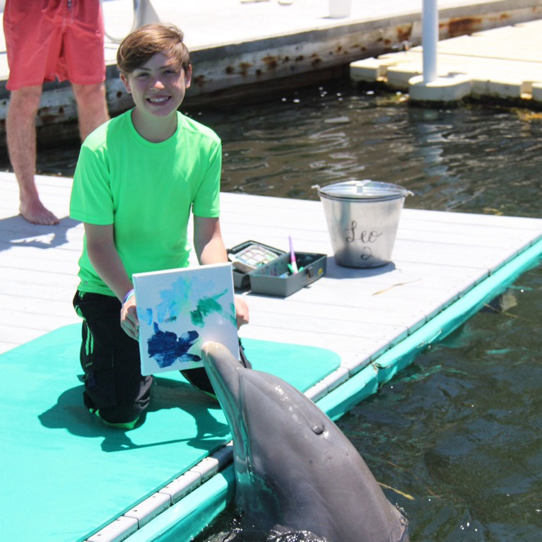 767x767 Wish Kid Cole And A Dolphin Painting A Picture - Dolphin Painting For Kids
