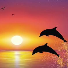 236x236 Dolphin Silhouette Painting Party Silhouettes - Dolphin Silhouette Painting