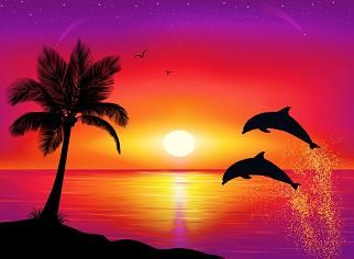 322x236 Pix For Gt Easy Paintings Of Dolphins I N S P - Dolphin Silhouette Painting