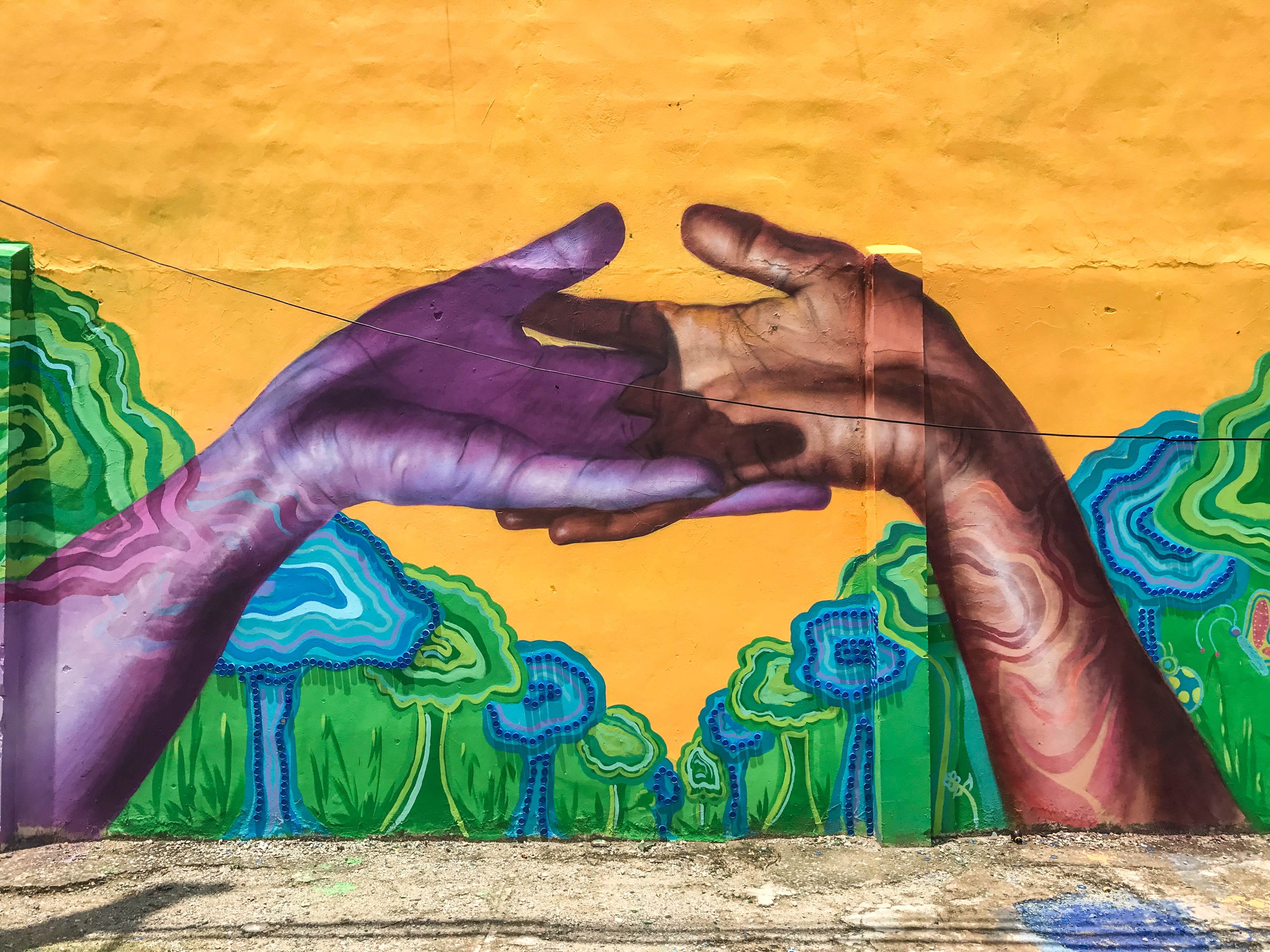 3200x2400 Art Amp Sustainability In The Dominican Republic Joel Artista - Dominican Republic Painting