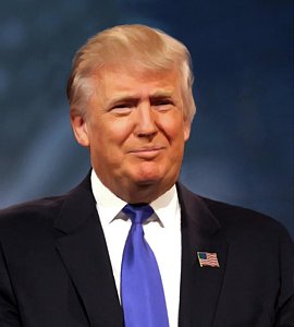 270x300 Donald Trump Portrait Paintings Fine Art America - Donald Trump Portrait Painting