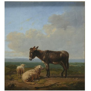 355x355 Donkey And Sheep Verboeckhoven, Vampa Search The Collections - Donkey Painting