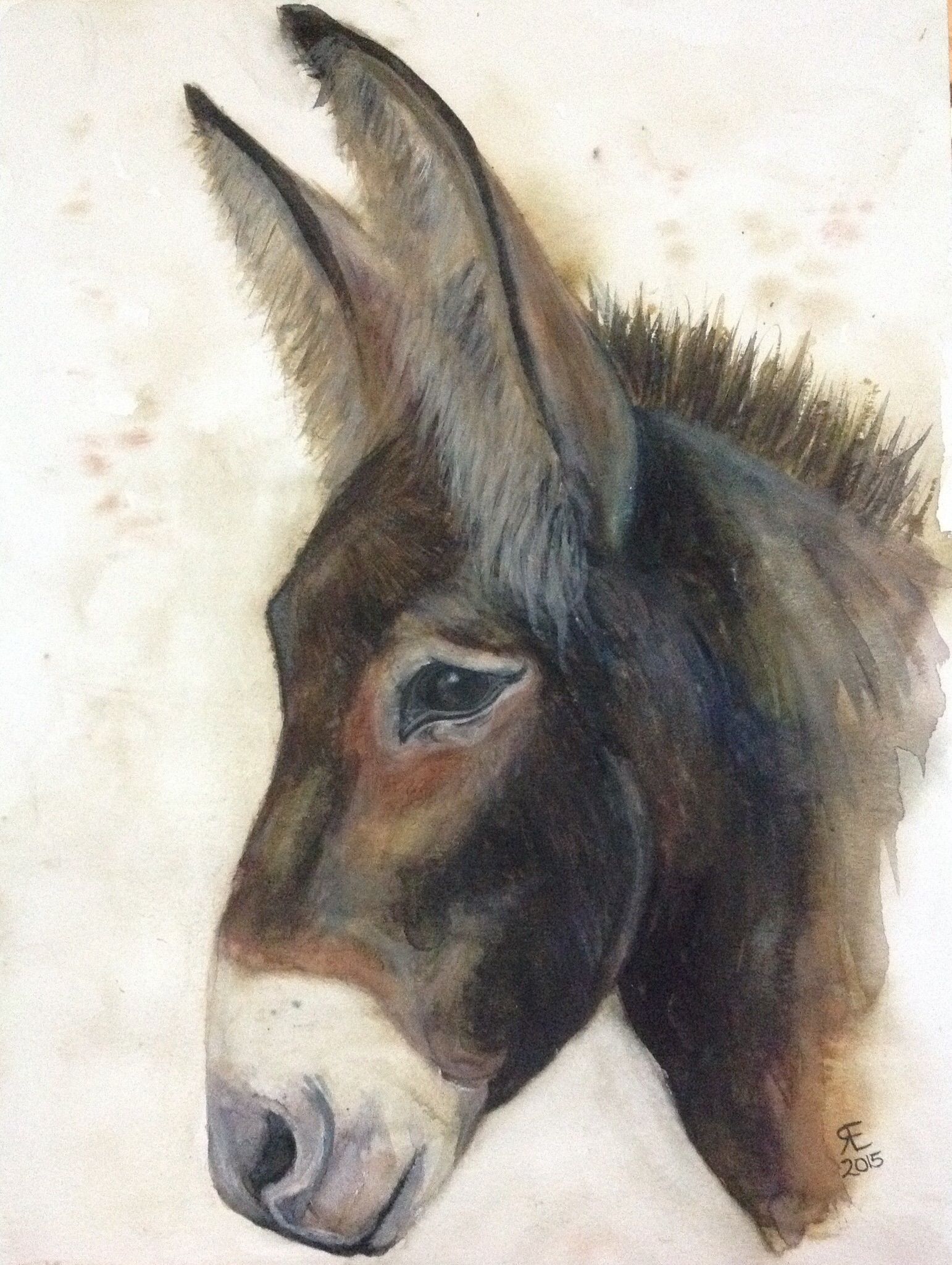 1542x2048 I Think This Is Oboe From The Donkey Whisperer Farm. Watercolour - Donkey Painting