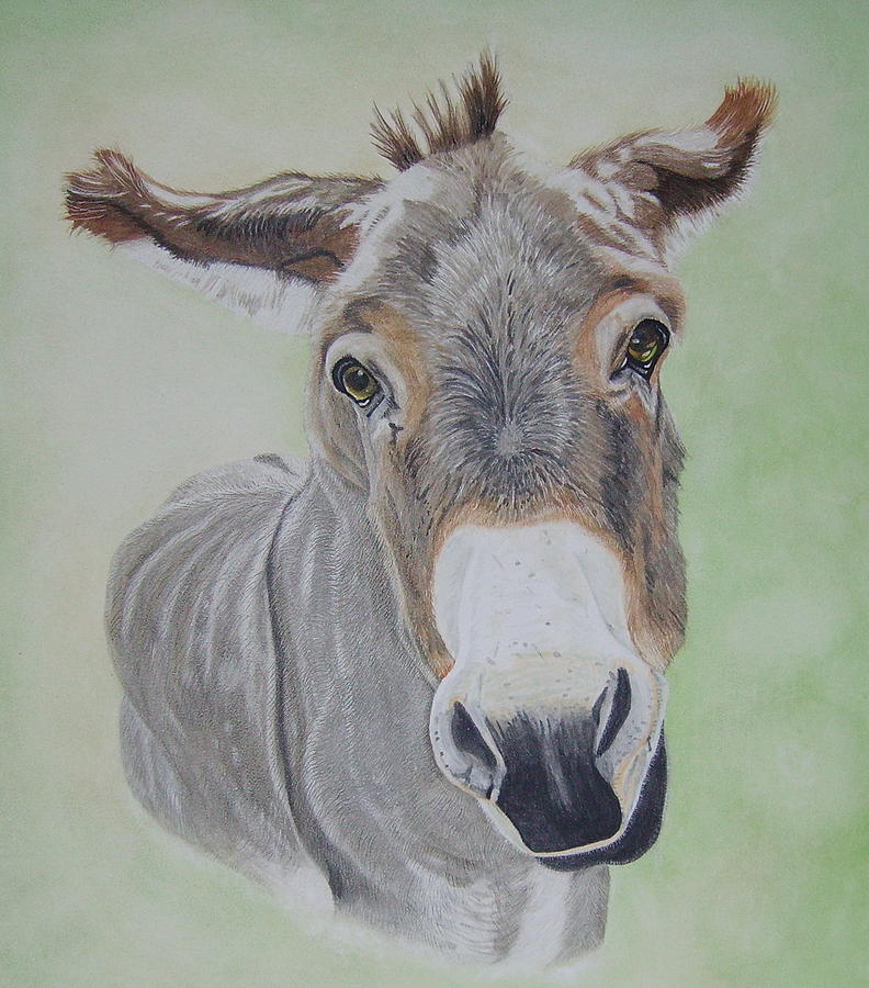 792x900 Miniature Sicilian Donkey Painting By Fay De Jong - Donkey Painting