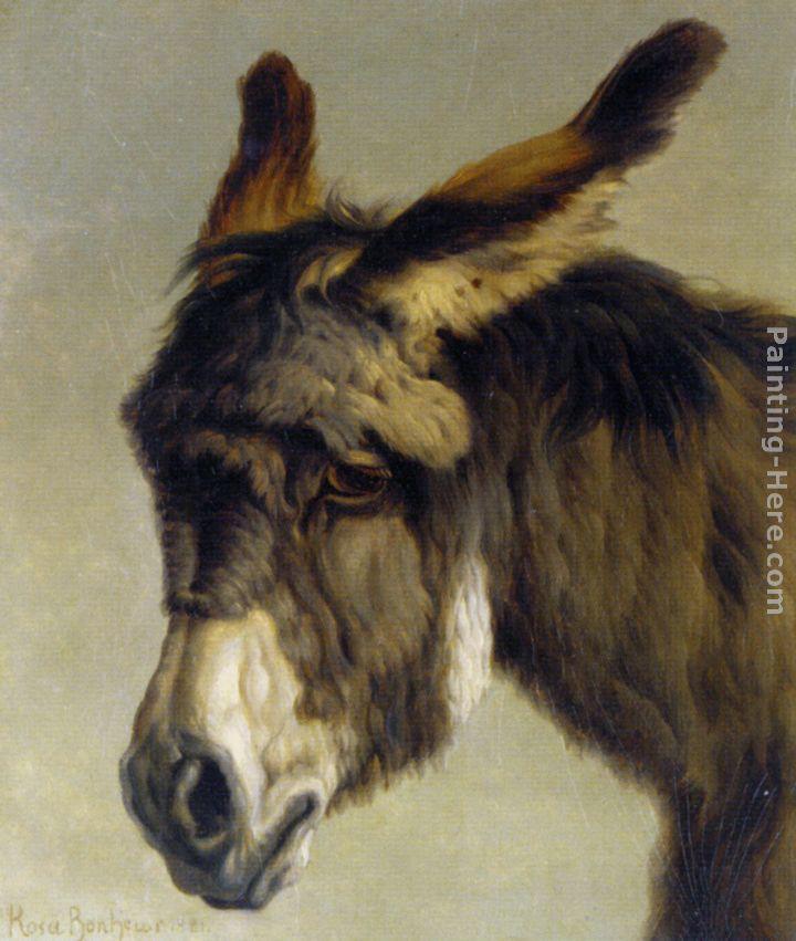 720x851 Rosa Bonheur Head Of A Donkey Painting Framed Paintings For Sale - Donkey Painting