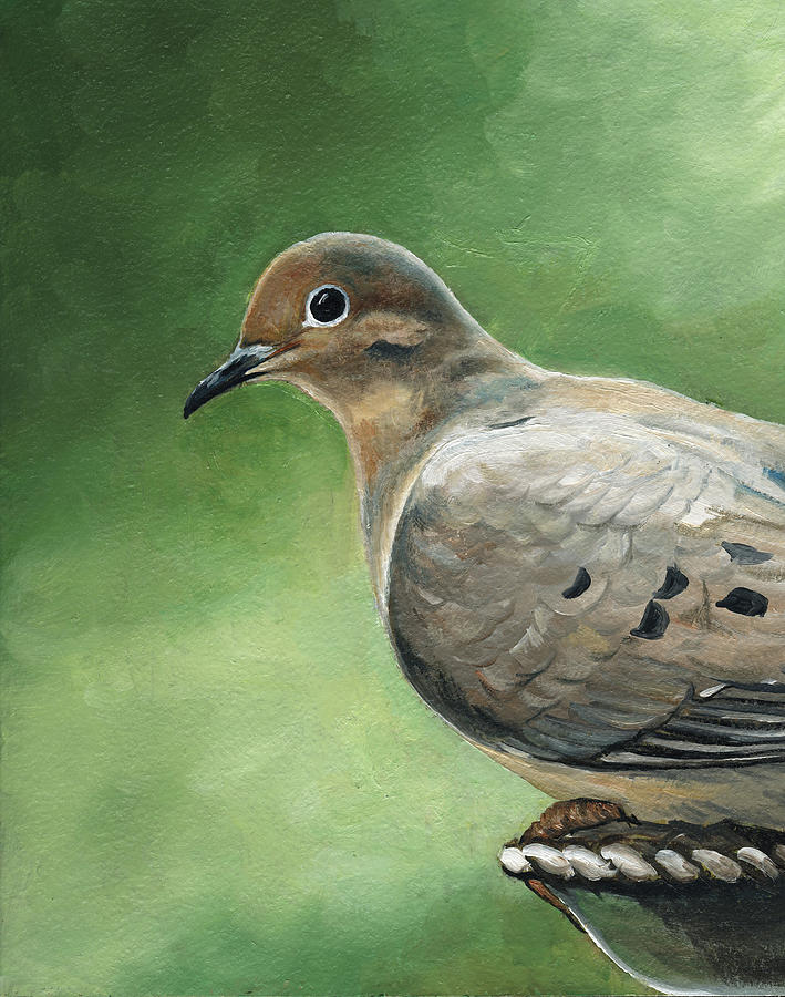 709x900 Mourning Dove Painting By Charlotte Yealey - Dove Painting