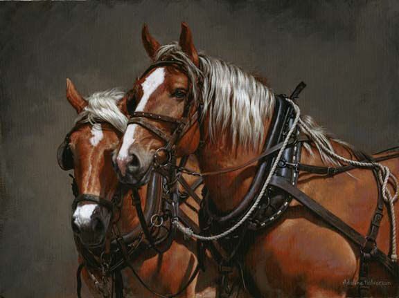 576x431 Horse Painting By Adeline Halvorson Art - Draft Horse Painting