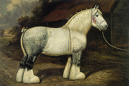 445x298 Liberty - Draft Horse Painting