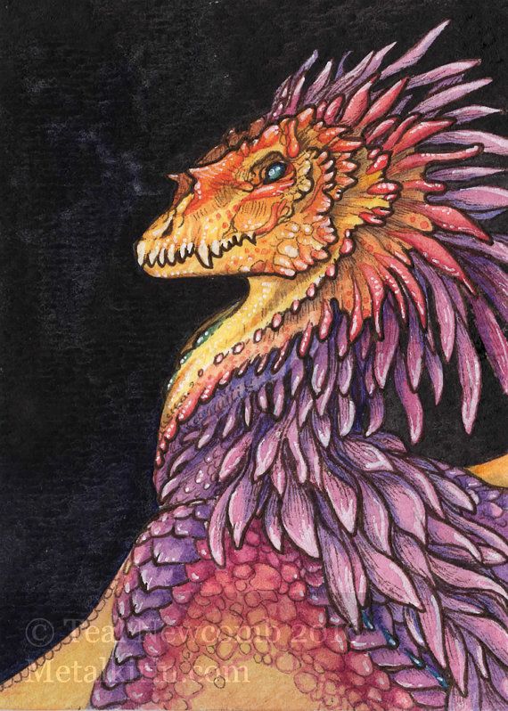 570x798 Rainbow Dragon Watercolor Aceo Painting Dragons - Dragon Head Painting