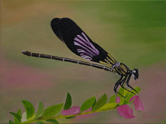570x426 Dragonfly Oil Painting Damselfly Original Oil Painting - Dragonfly Oil Painting