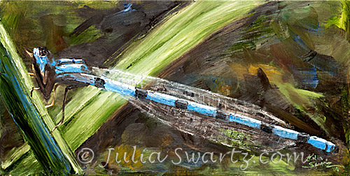 500x252 Julia Swartz Fine Art Gallery Dragon Fly Oil Painting - Dragonfly Oil Painting