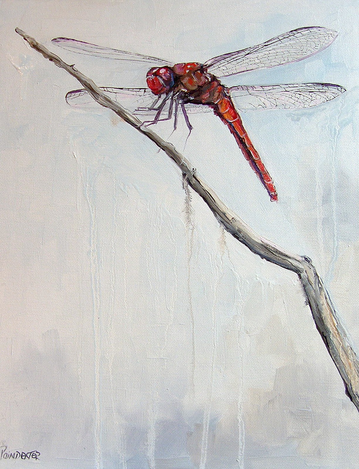 1225x1600 Paintings In Oil Original Oil Painting Red Dragonfly Nature By - Dragonfly Oil Painting