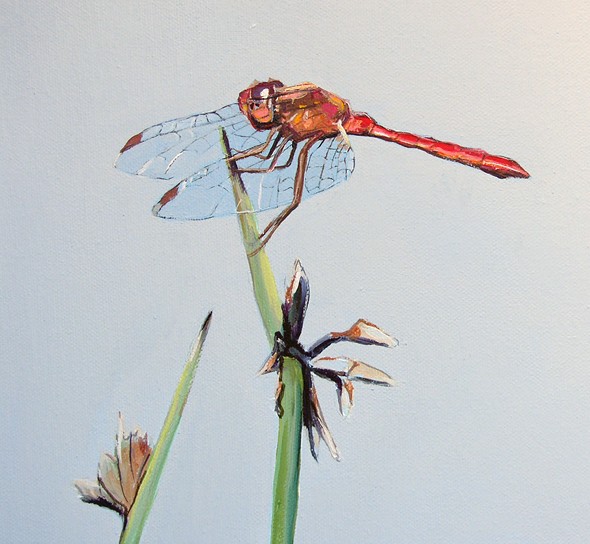 590x544 Paintings In Oil Original Oil Painting - Dragonfly Oil Painting